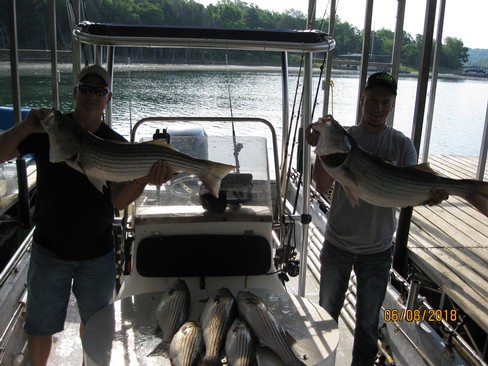 Nice Striped Bass